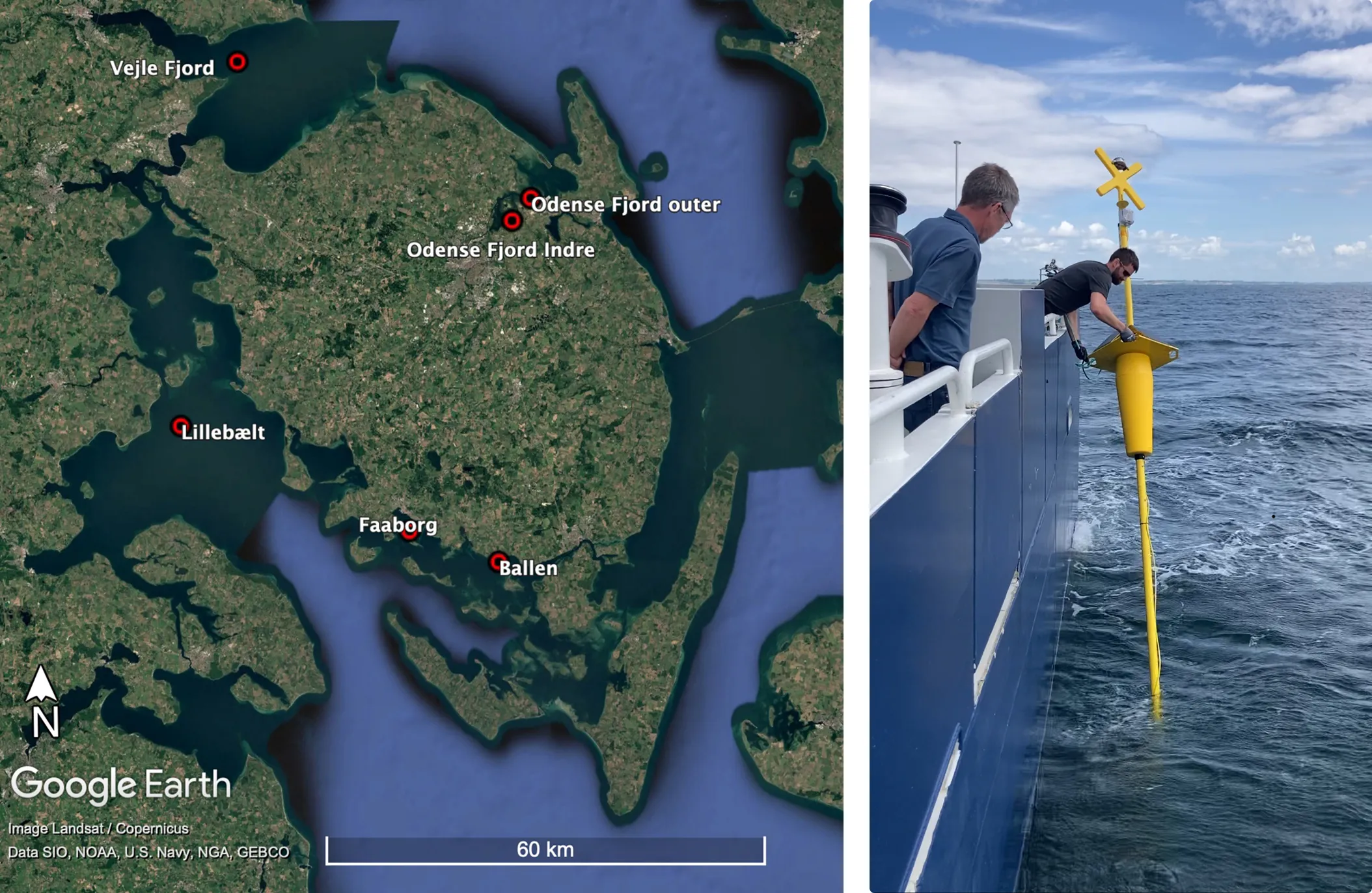En Havsans Målebøje sættes ud fra styrelsens fartøj Sif